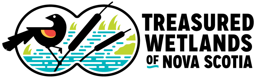 TWNS-logo2-web
